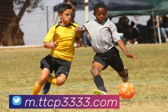 天天彩票官方网站平台生态图