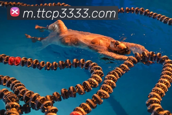 天天彩票官方网站全站App